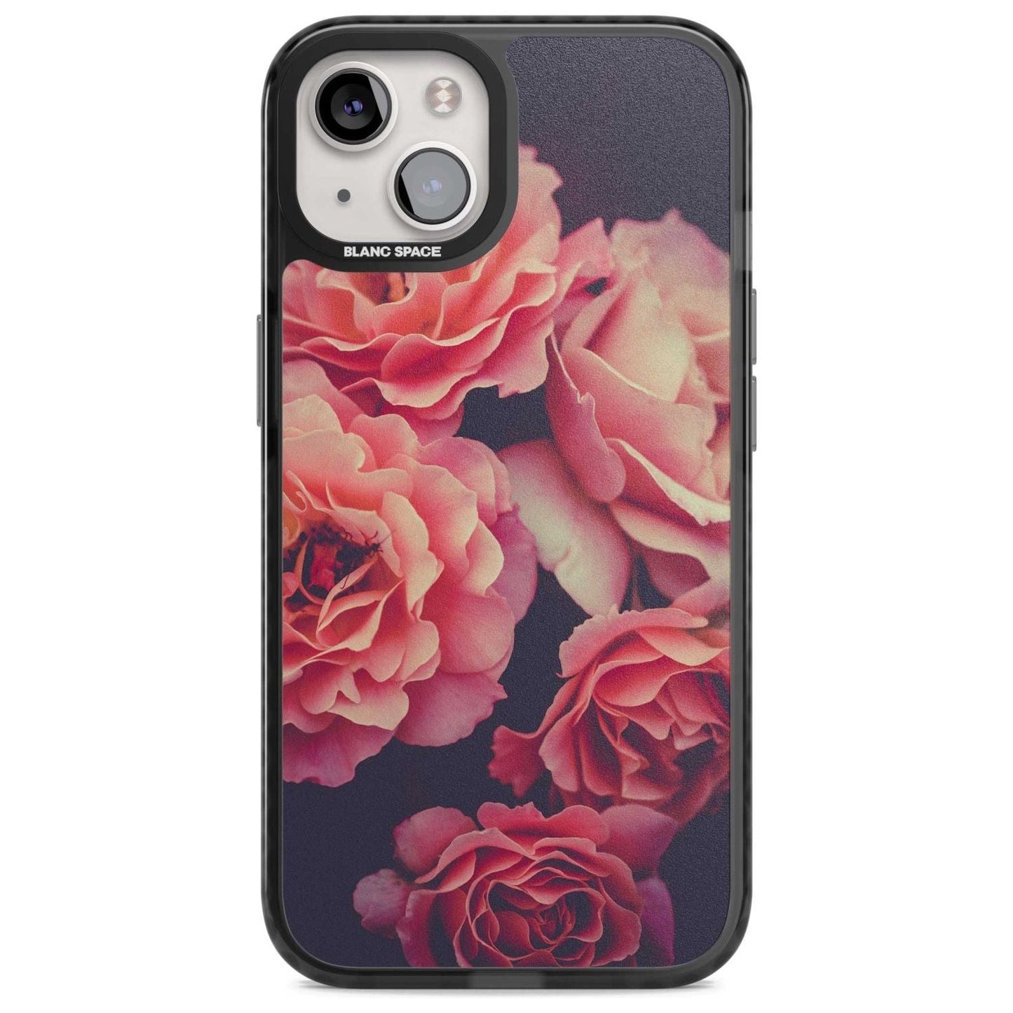 Mitternachtsrosenblüte