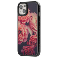 Mitternachtsrosenblüte