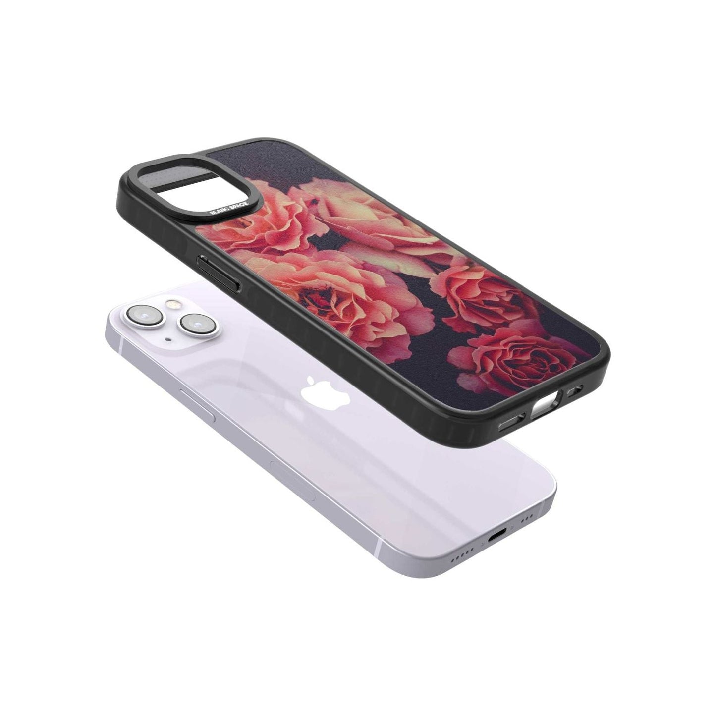 Mitternachtsrosenblüte