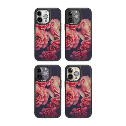 Mitternachtsrosenblüte