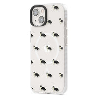 Border Collie Pattern Clear