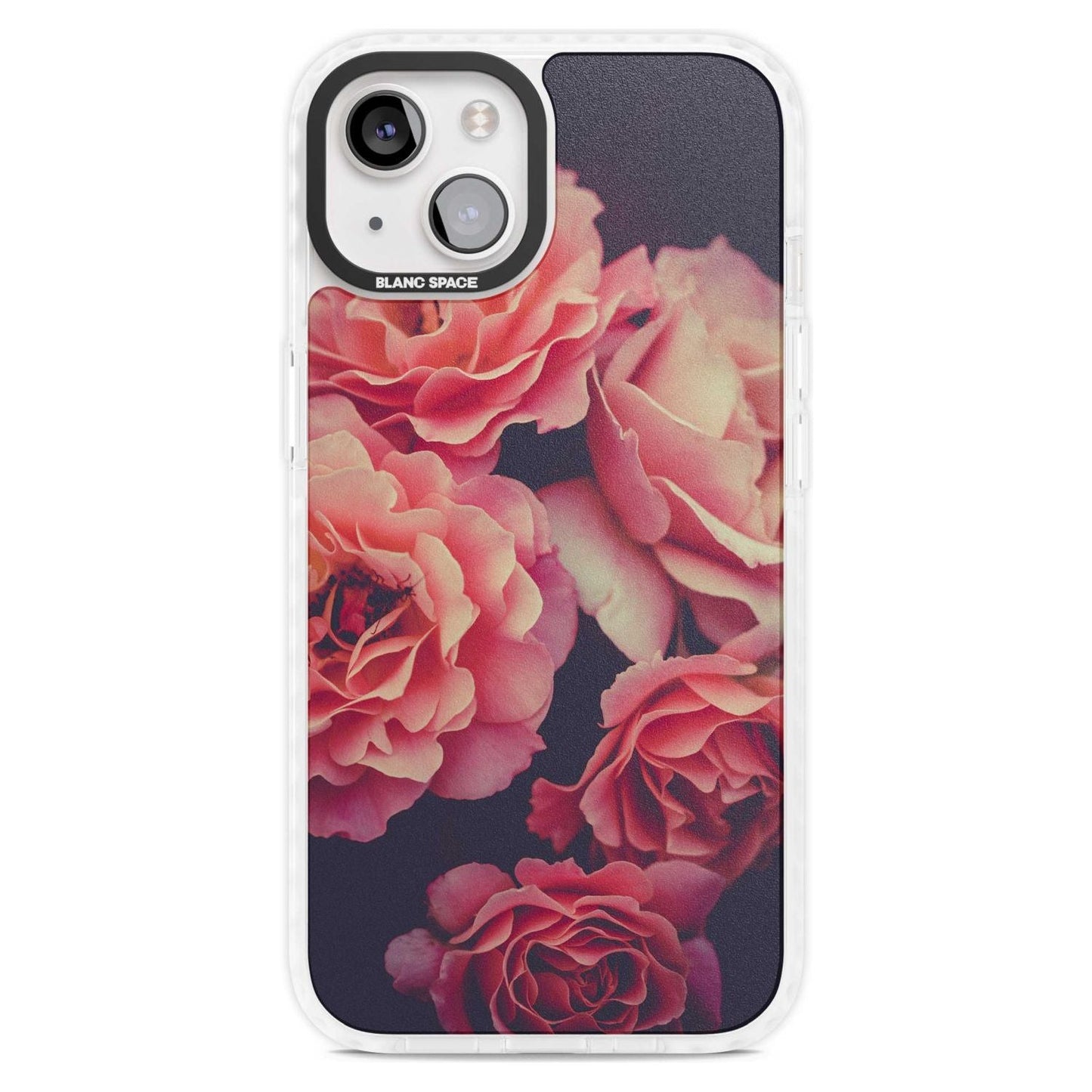 Mitternachtsrosenblüte