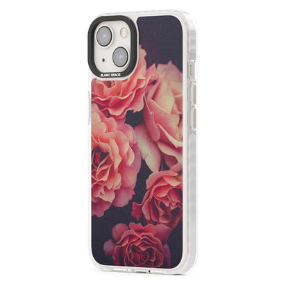 Mitternachtsrosenblüte