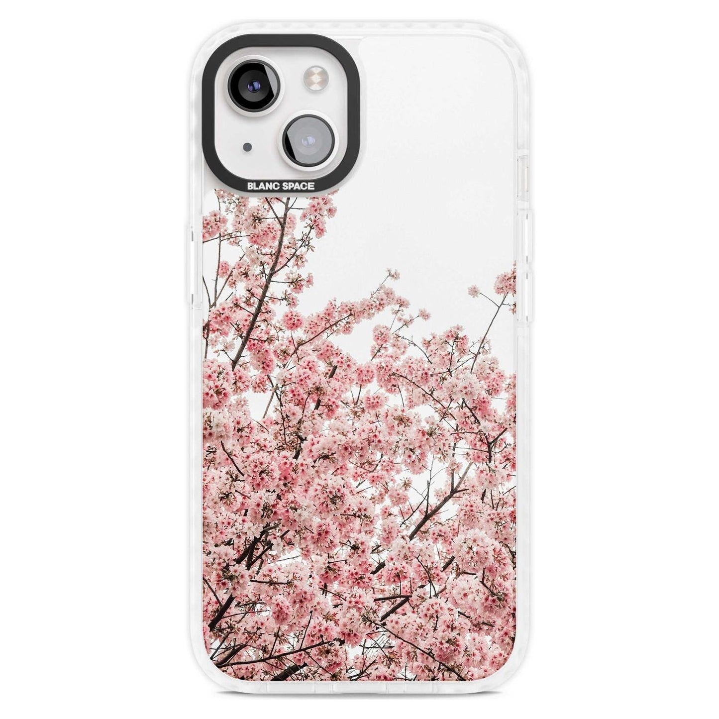Cherry Blossom Bloom