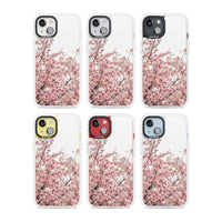 Cherry Blossom Bloom