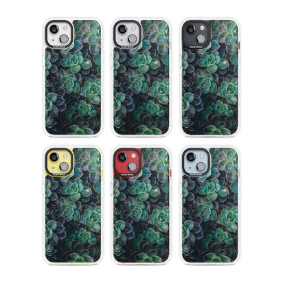 Succulent Bloom Botanical