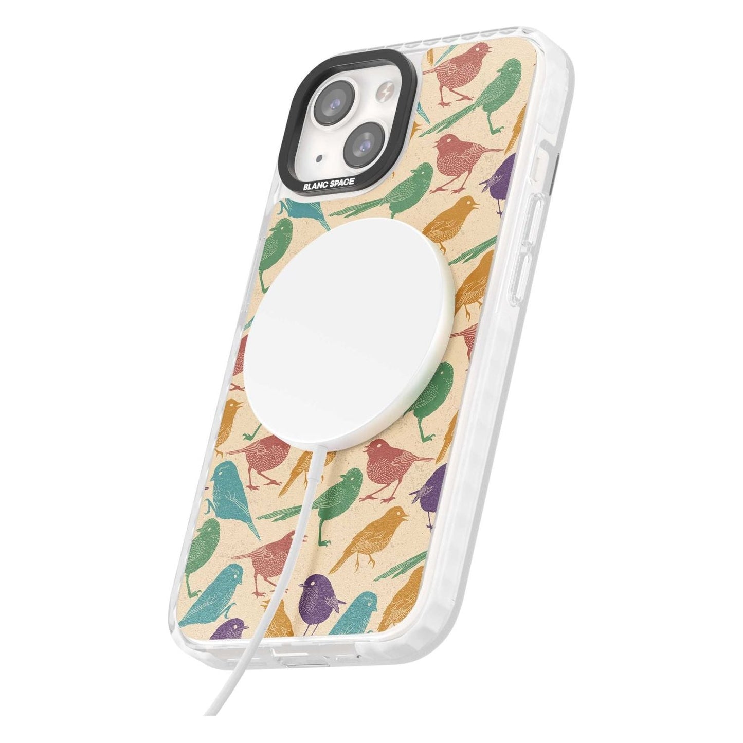 Colorful Feathered Friends