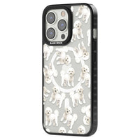 Bichon frisé aquarelle