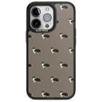 Border Collie Pattern Classic