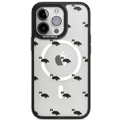 Border Collie Pattern Clear
