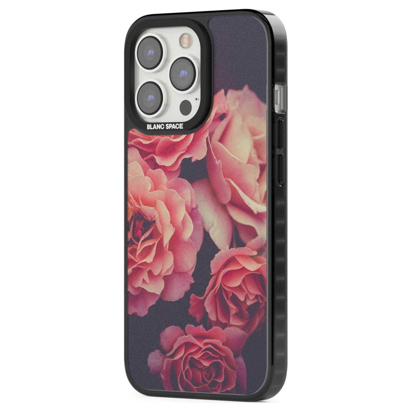 Mitternachtsrosenblüte