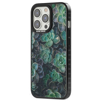 Succulent Bloom Botanical