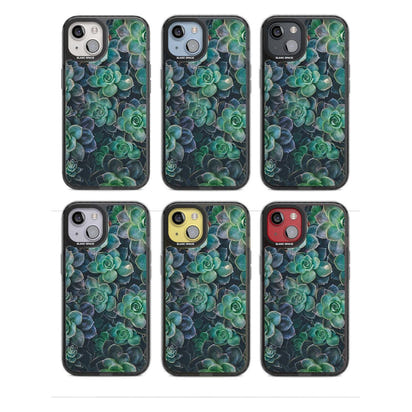 Succulent Bloom Botanical