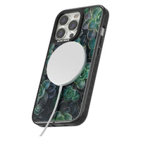 Succulent Bloom Botanical