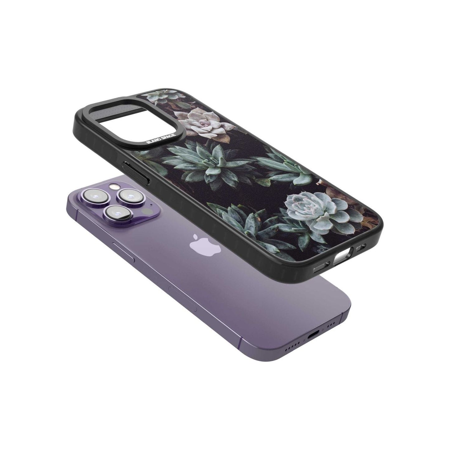 Succulent Bloom Mixed