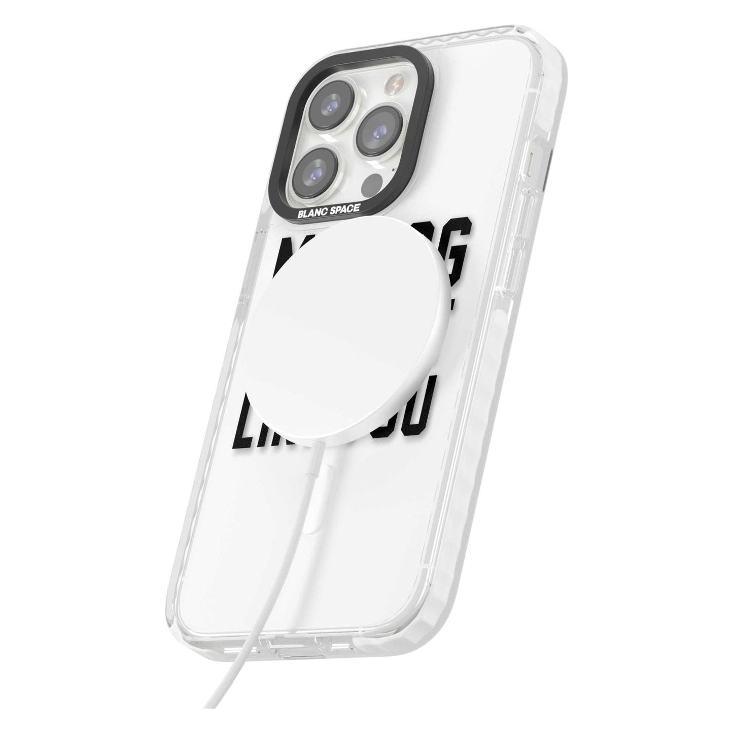 My Dog Doesn'T Like You