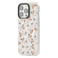 Jack Russell à poil dur fantaisiste