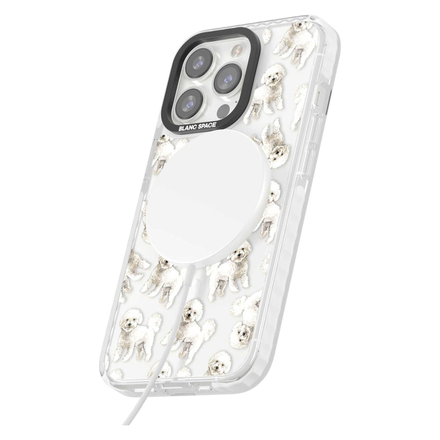 Bichon frisé aquarelle