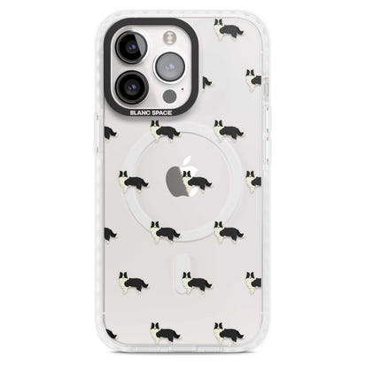Border Collie Pattern Clear