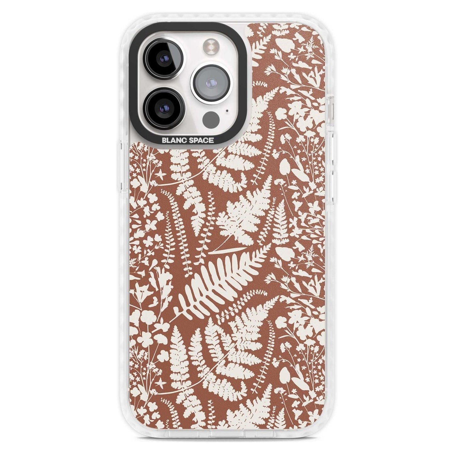 Fleurs sauvages et fougères sur terre cuite