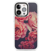 Mitternachtsrosenblüte