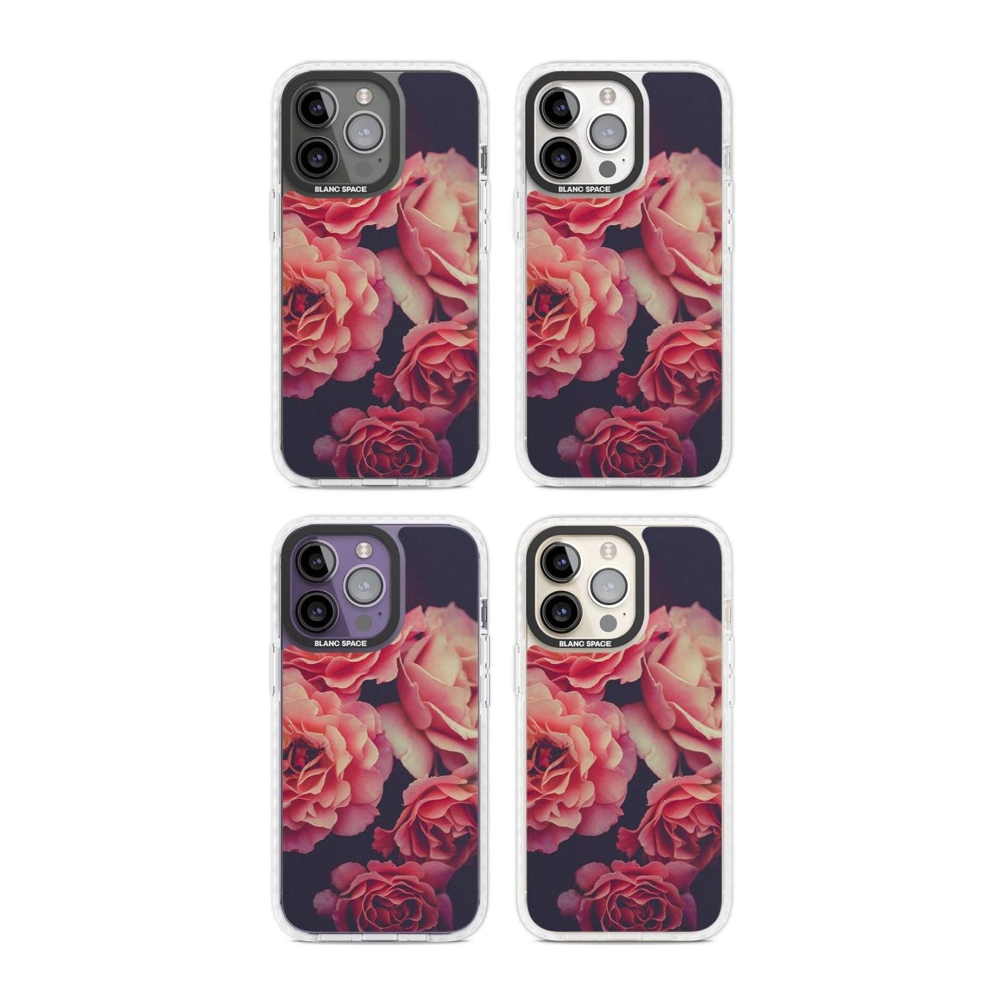 Mitternachtsrosenblüte