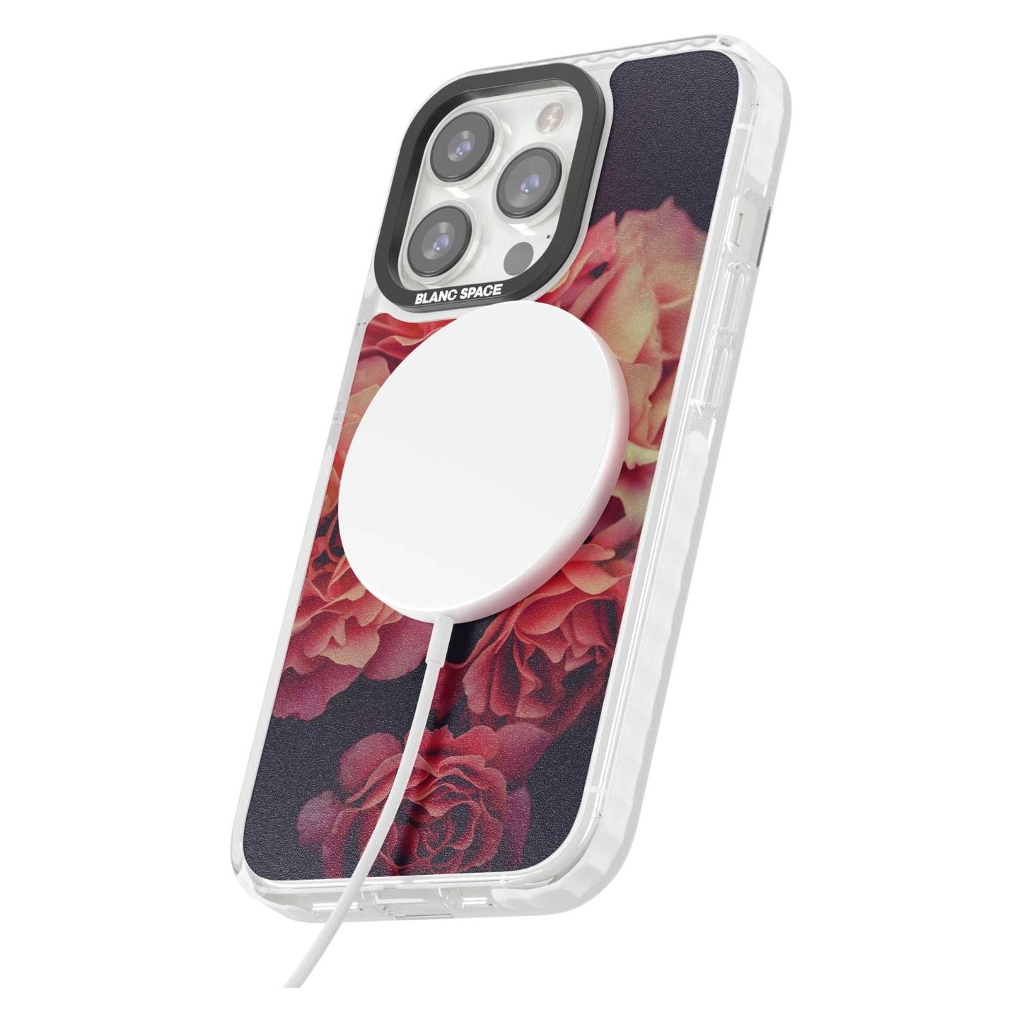 Mitternachtsrosenblüte