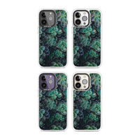 Succulent Bloom Botanical