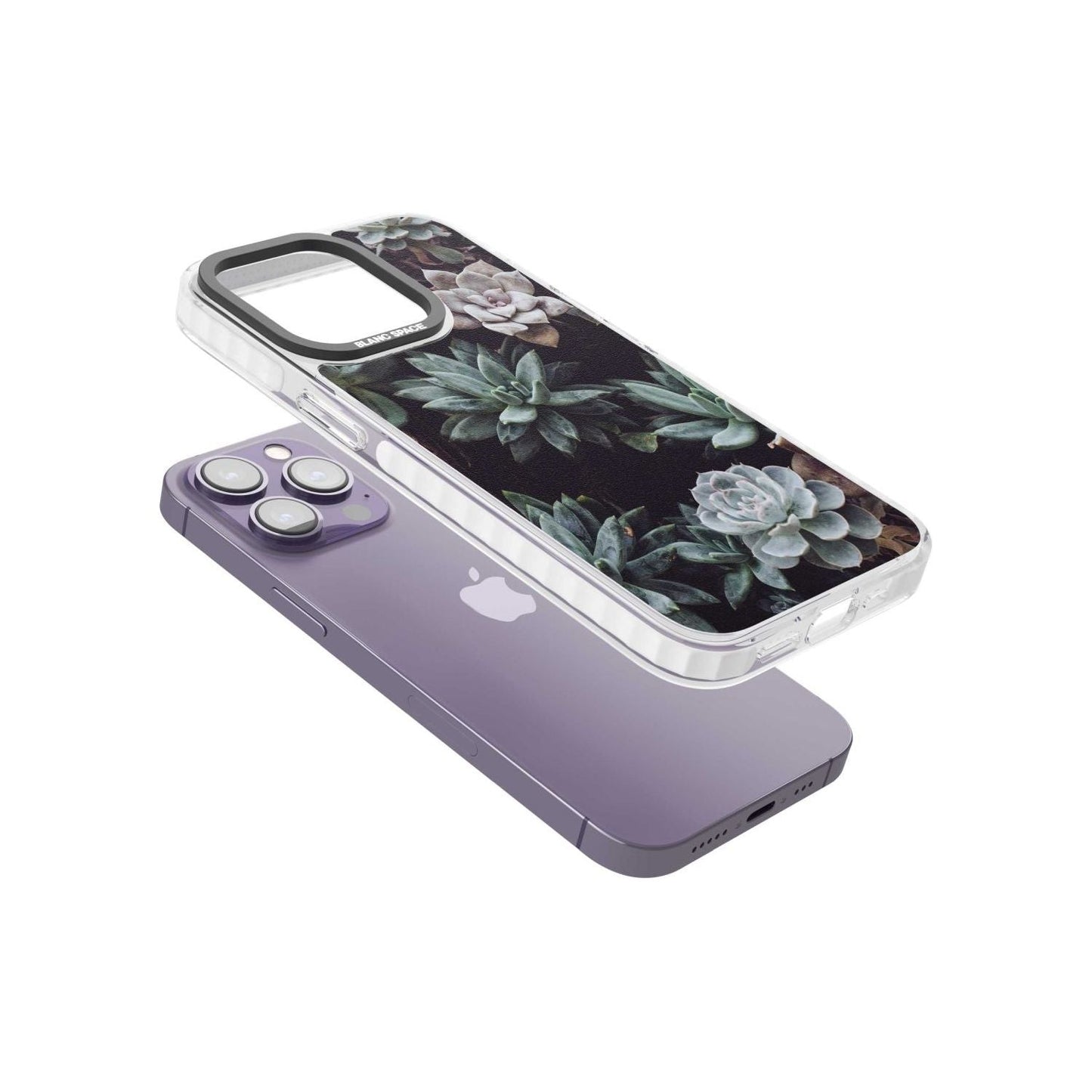 Succulent Bloom Mixed