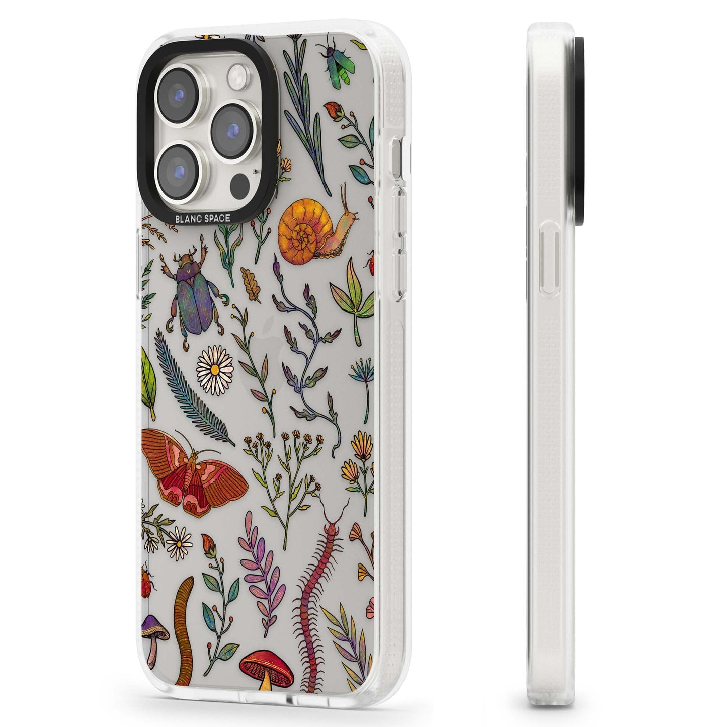 Insectes et fleurs sauvages