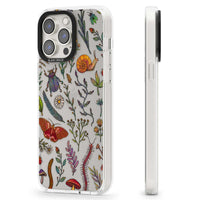 Insectes et fleurs sauvages