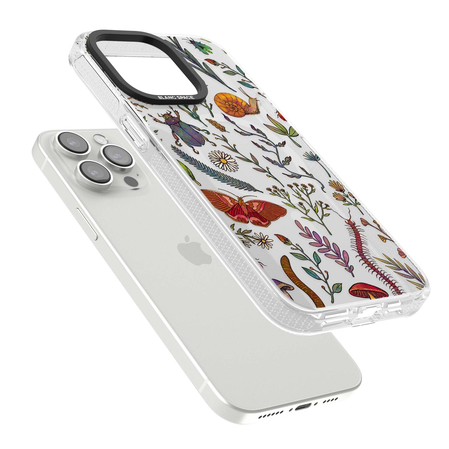 Insectes et fleurs sauvages