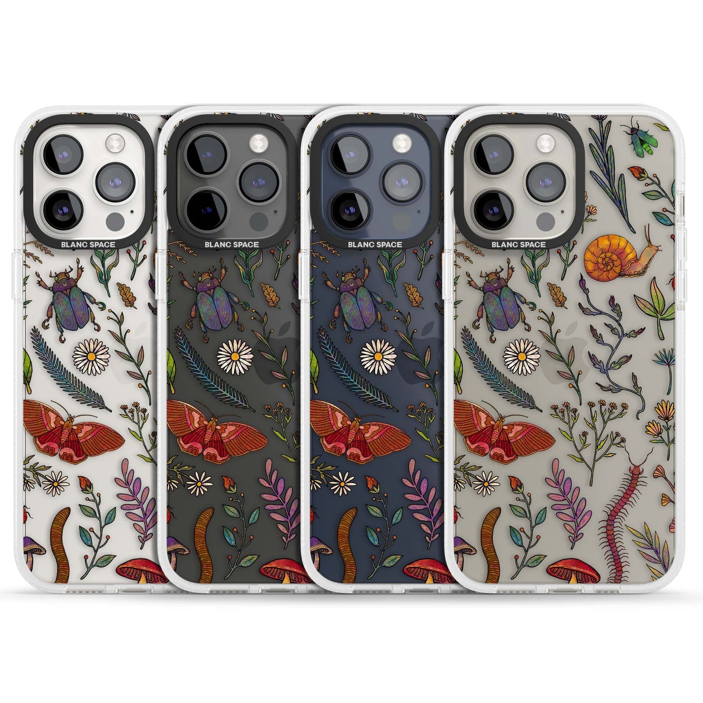 Insectes et fleurs sauvages