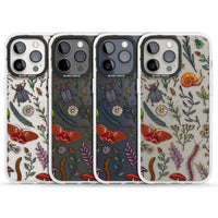 Insectes et fleurs sauvages