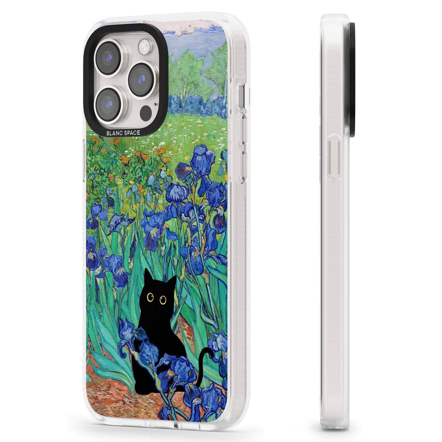 Le chat dans les Iris de Van Gogh