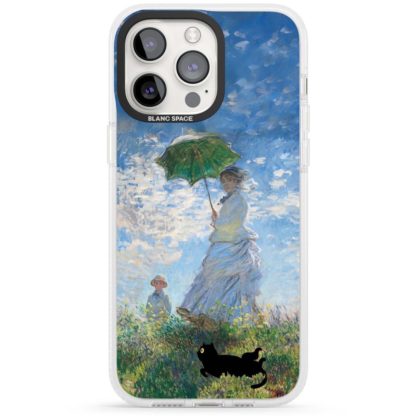 Cat with Monet's Parasol Lady