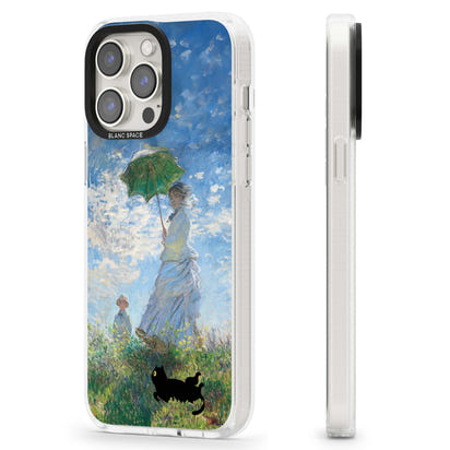 Cat with Monet's Parasol Lady