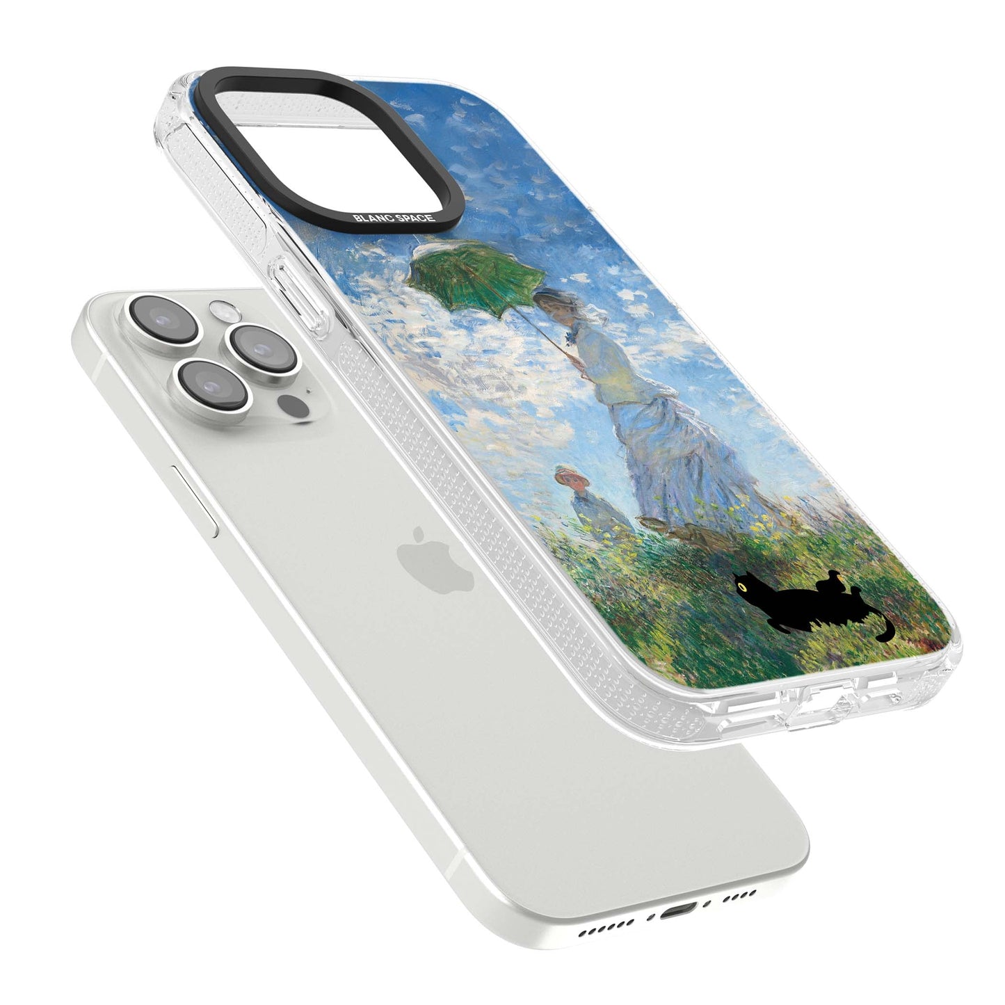 Cat with Monet's Parasol Lady