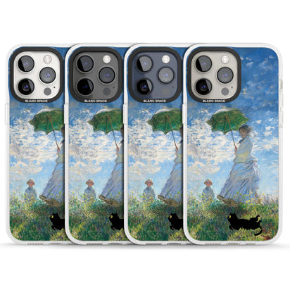 Cat with Monet's Parasol Lady