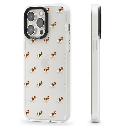 Cavalier King Charles Hundemuster