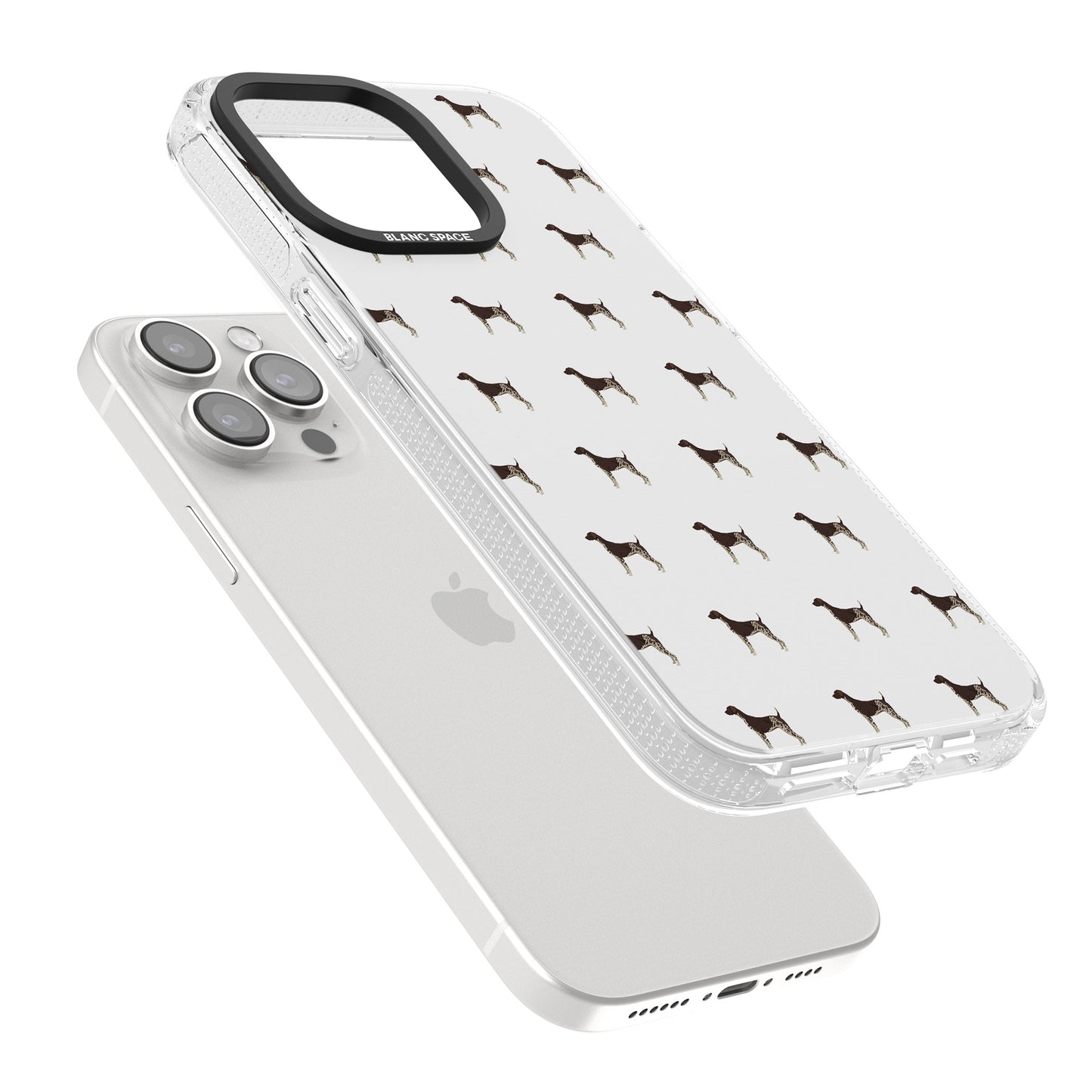 Modèle de braque allemand à poil court