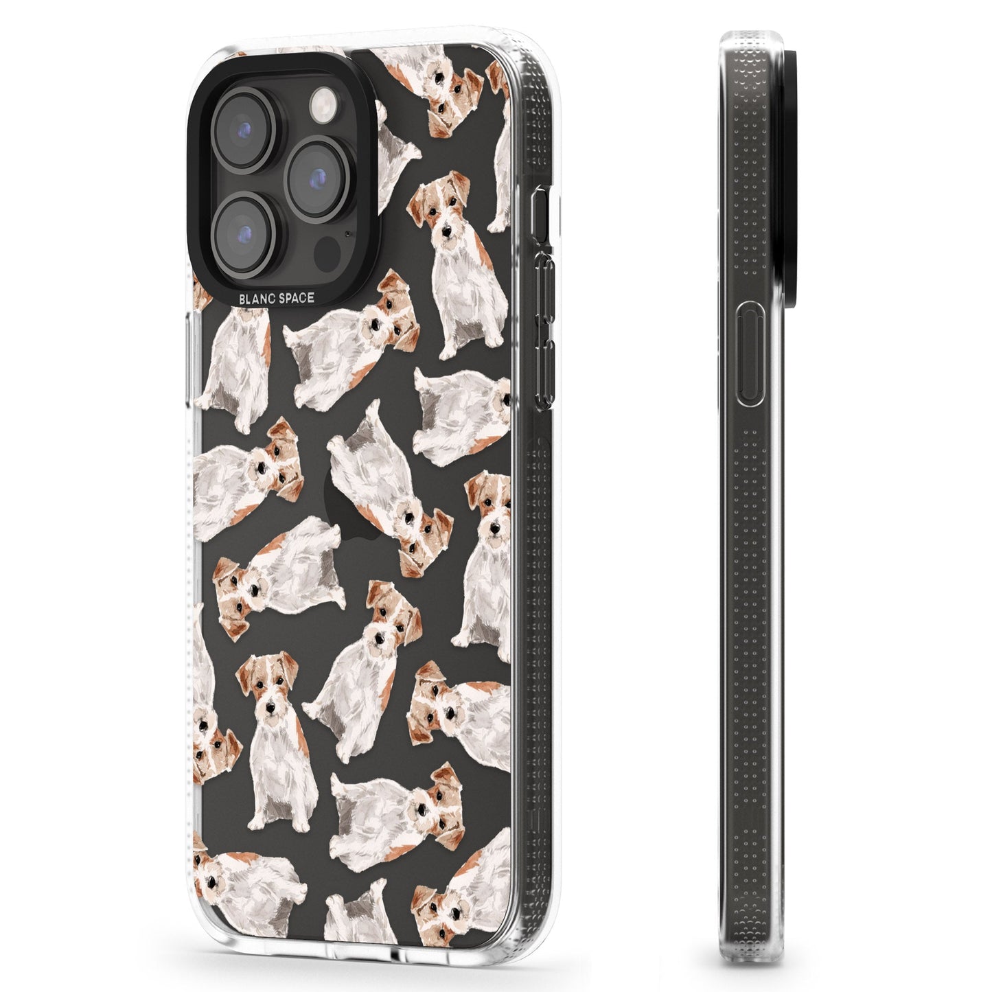 Jack Russell à poil dur fantaisiste