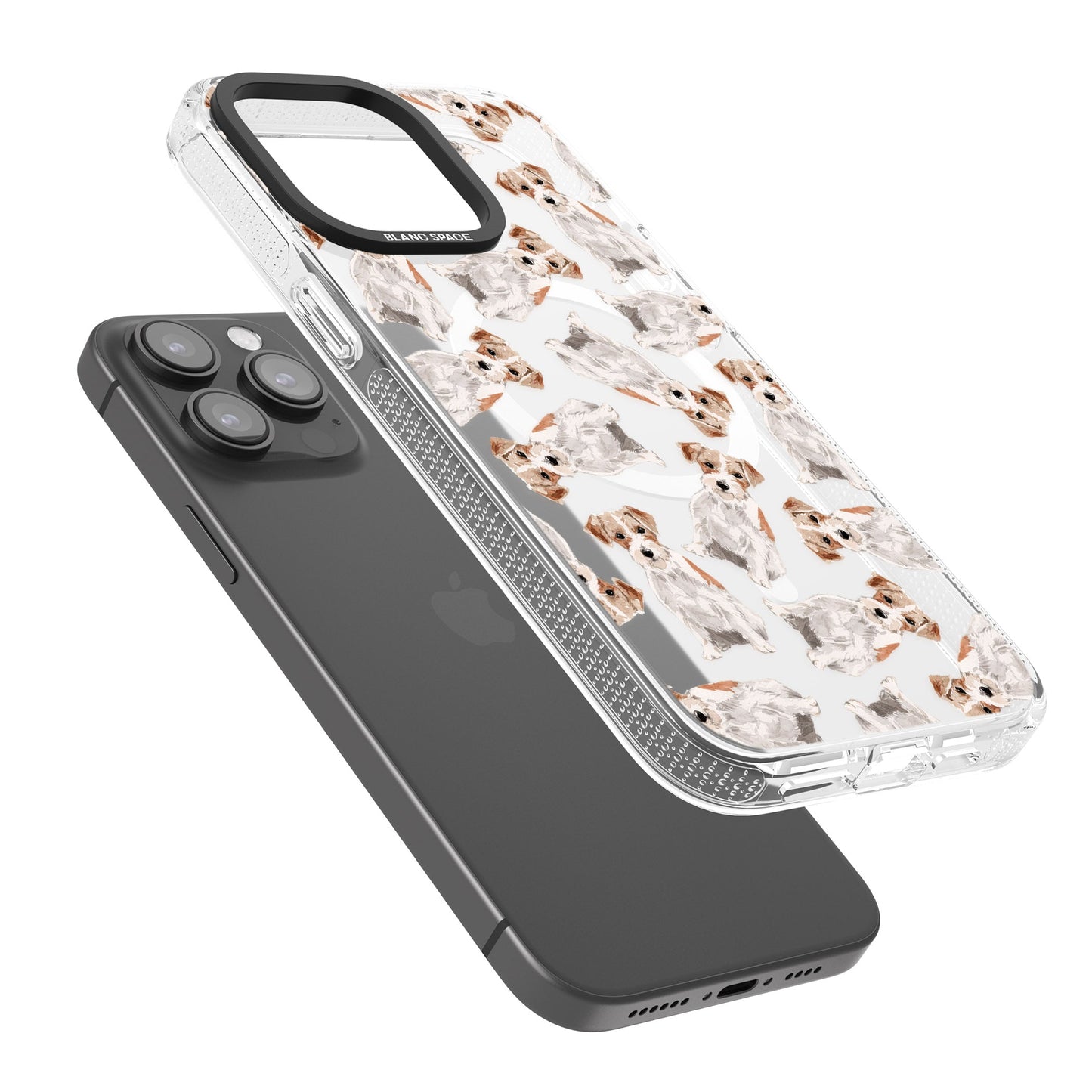 Jack Russell à poil dur fantaisiste