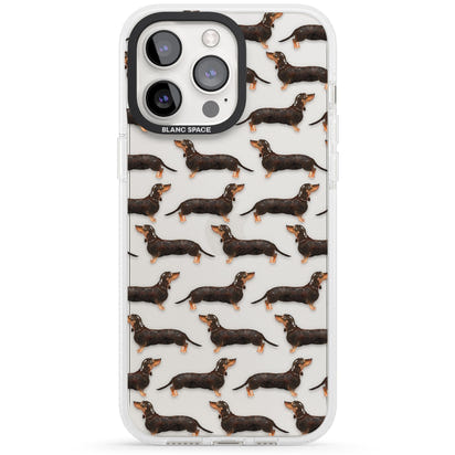 Dachshund Pattern Black Tan