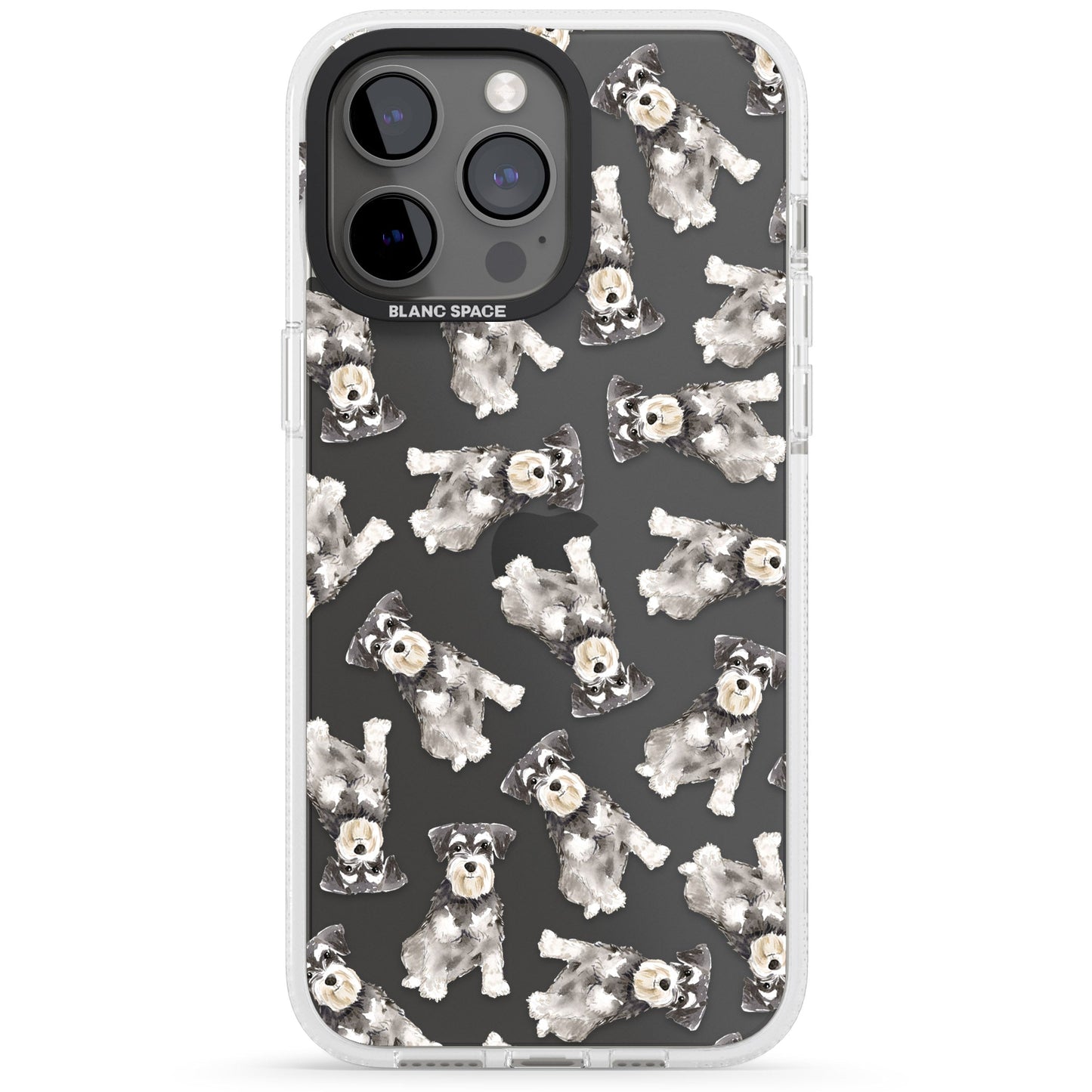 Aquarellzeichnung eines Zwergschnauzers