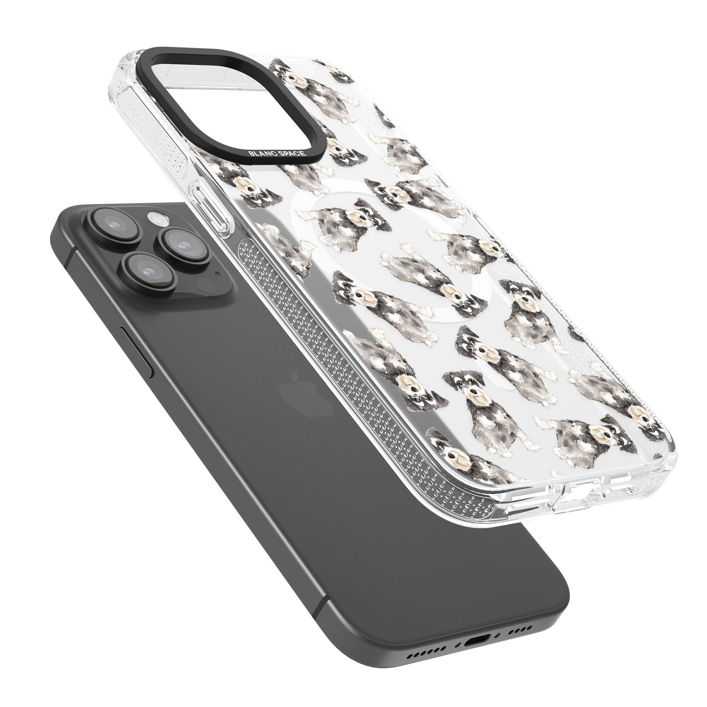 Aquarellzeichnung eines Zwergschnauzers