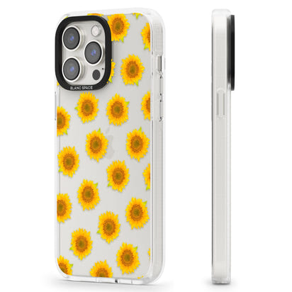 Fleur de tournesol