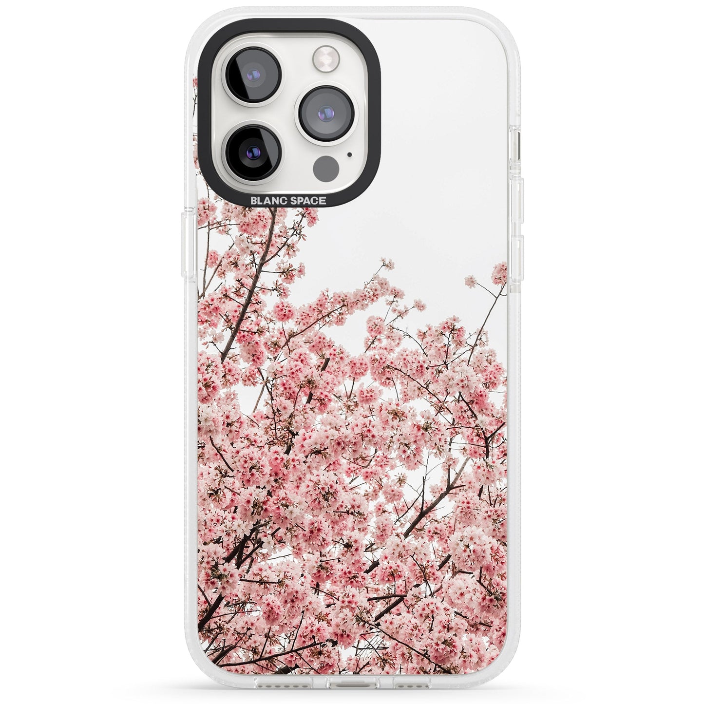 Cherry Blossom Bloom