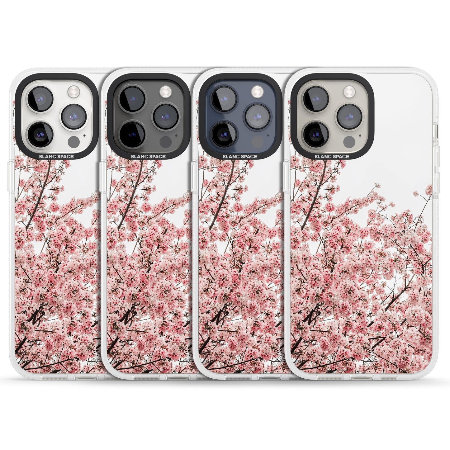 Cherry Blossom Bloom