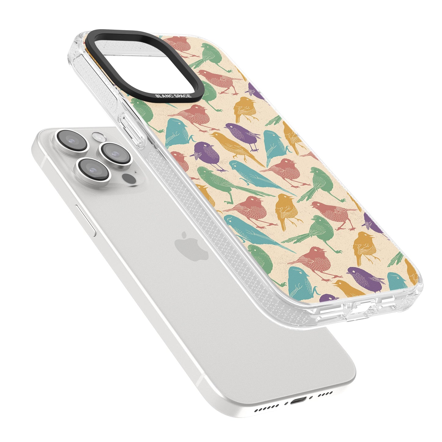 Colorful Feathered Friends